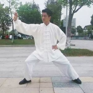 ΰ̫ȭҪʮʽ-׽̫ȭƵƷ