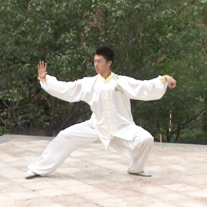 ͳ̫ȭϼܶ·-׽̫ȭƵƷ