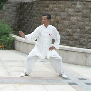 ׺ճʽͳʮʽ̫ȭ-׽̫ȭƵƷ