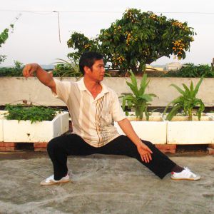 ½մͳʽ̫ȭ85ʽ-׽̫ȭƵƷ