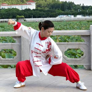 Ӣ̫ȭϼʮʽ-׽̫ȭƵƷ