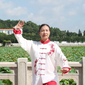 ÷̫ȭϼʮʽ-׽̫ȭƵƷ