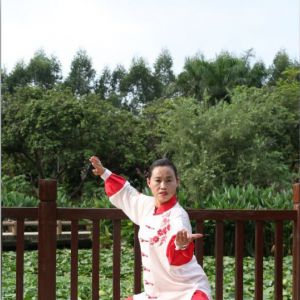 ÷Ӣ̫ȭϼһ·ʮʽ-׽̫ȭƵƷ