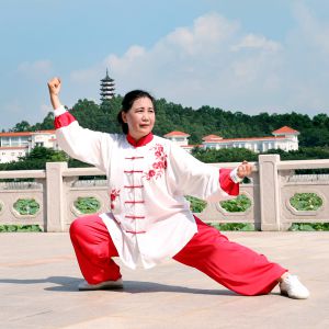 ·Ƴ̫ȭϼһ·ʮʽ-׽̫ȭƵƷ