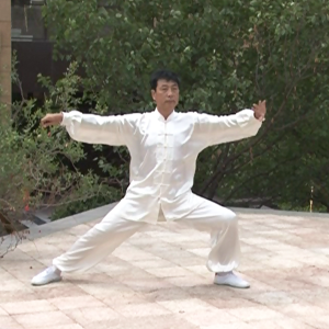 Ҧ¸̫ȭϼһ·-׽̫ȭƵƷ