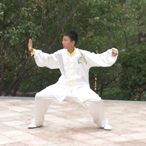 ΰ̫ȭϼܶ·-׽̫ȭƵƷ