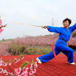 쿡̫ȭʽ̫-׽̫ȭƵƷ