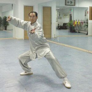 Ȼʽ̫ȭϼʮʽʽ̫ȭ¼ʮ-׽̫ȭƵ ...