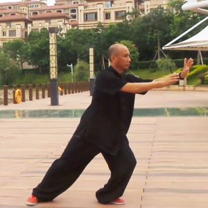 ½䵱ʮʽ̫ȭ䵱ʮʽ̫ȭ-׽̫ȭƵ ...