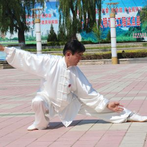 ϲʽ̫ȭʮʽ-׽̫ȭƵƷ