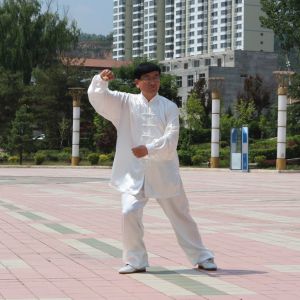 Ȩʽ̫ȭʮʽ-׽̫ȭƵƷ