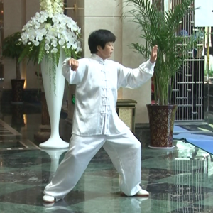 ţѩٳ̫ȭС64ʽ-׽̫ȭƵƷ