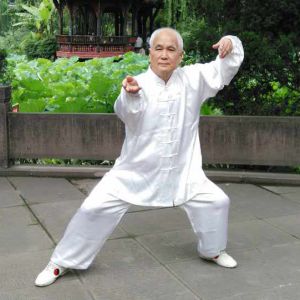 ƽʽ̫ȭҪʮʽ---׽̫ȭƵƷ