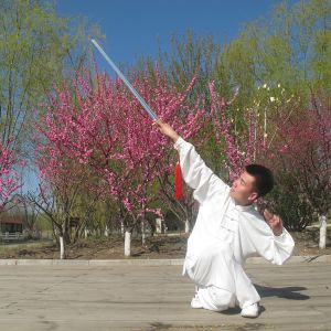 ̫ȭϼһ·---׽̫ȭƵƷ