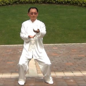 ųʽʮʽС̫ȭ---׽̫ȭƵƷ