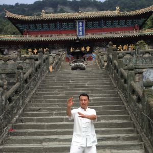 崫ͳʽʮʽ---׽̫ȭƵƷ