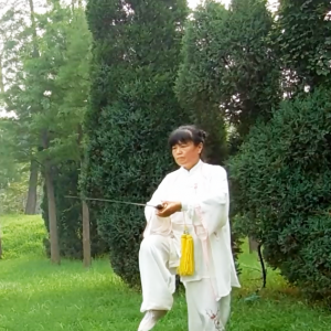 հ÷̫49ʽ-׽̫ȭƵƷ