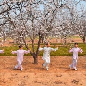 ����̫��ȭ��