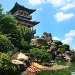 2015ȫ������ҵ�ұ�������̫��ȭ�������л�̫���Ļ���̳����11�µ׿�Ļ