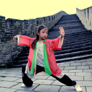 �������Զ�롰̫���١�?