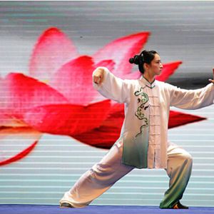 2015��ȫ��������·��������̫��ȭ���������㽭��ɽ���ӿ�Ļ