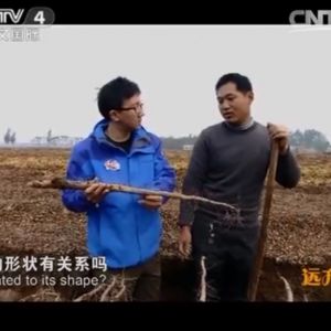 Զļҡ  ɽٴ ̫ɽũɽҩ