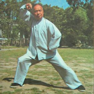 ����ʷ��ʵ���������ܰ