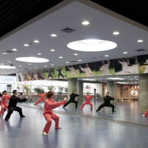 ̫��ȭΪʲô��Ͼ���