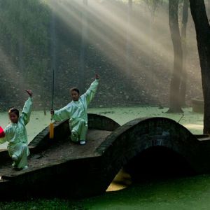 �Ҷ�̫��ȭ���⡱�͡������ĸ���