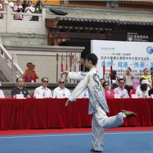 2015ȫҵұ̫ȭڶıʷ忪