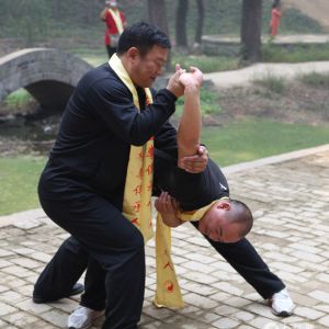 ����ʮ���ܳ��ţ�ֻԸ����������