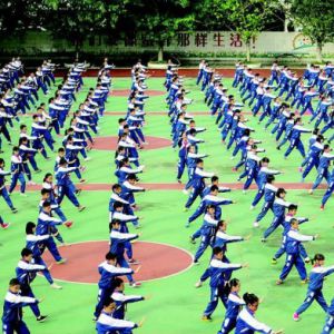 �ƹ㽡��̫�������л����µ�̫��ȭչ�����������