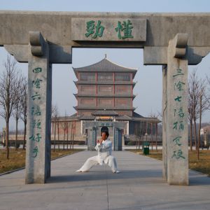 �����춥�������ǡ����춥����  �M����