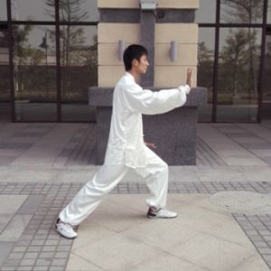 ̫ȭۡȺ§ϥֲʽ֮Ҫ㣨һ̫¼֮ʮ