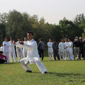 ��ʽ̫��ȭ����ش����ƹ����С��