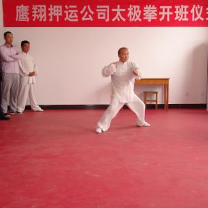 ̫ŶƽɽӥѺ˹˾̫ȭʽ