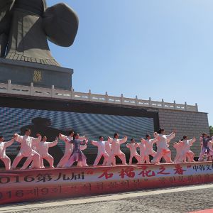 ͬһ̫ʯ񻨿     ʽ̫ȭ