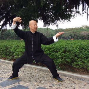 ��С��̫��ȭʮ��Ҫ��