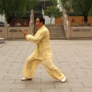 ʮʽһ򣬻̫ȭʮʽ ̫ȭ30ʽ-ڶ̫ȭ ...