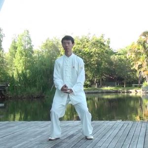 Ҧܳʽ̫ȭʮʽ---ڶ̫ȭƵƷ