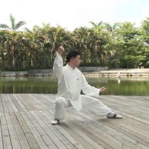 ΰʽ̫ȭ32ʽ -ڶ̫ȭƵƷ