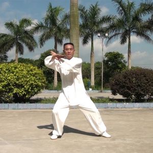 ׯʽ̫ȭ32ʽ-ڶ̫ȭƵƷ