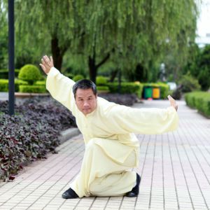 ТԲ̫ʽ̫ȭʮʽʽ̫ȭСʮʽ -ڶ̫ ...