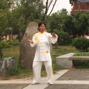 Ƴʽ̫ȭС64ʽ -ڶ̫ȭƵƷ