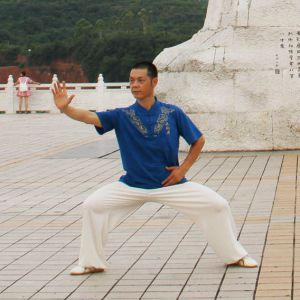 ƽʽ̫ȭʮʽ-ڶ̫ȭƵƷ