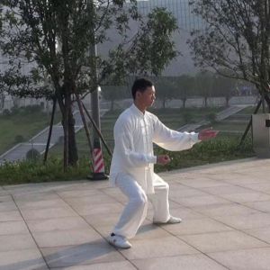 ظճʽ̫ȭϼһ·-ڶ̫ȭƵƷ