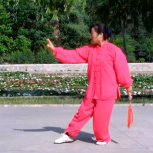 ÷Ӣ82ʽ˽-ڶ̫ȭƵƷ