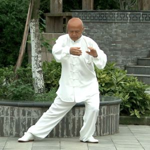 ÷÷̫ȭʮʽ -ڶ̫ȭƵƷ