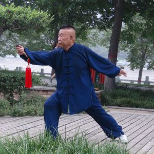 ̫ʽ̫ȭС  -ڶ̫ȭƵƷ