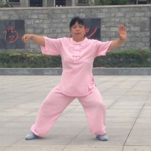 ޳ʽ̫ȭҪʮʽ-ڶ̫ȭƵƷ